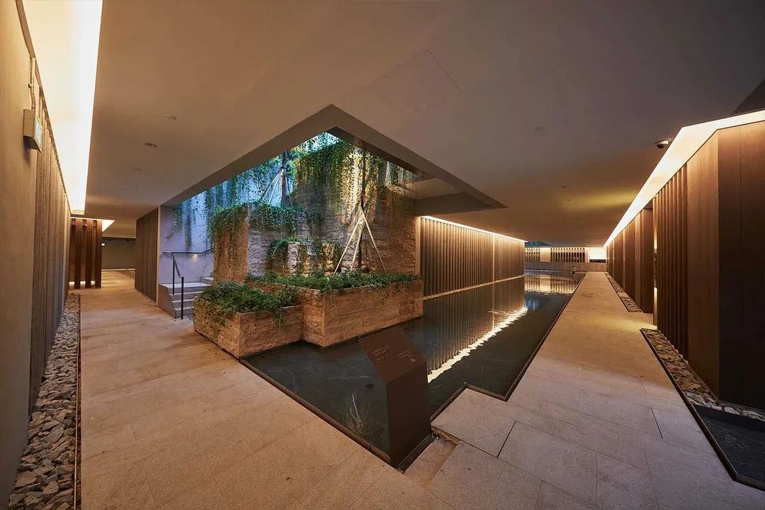 1681714343726591.jpg 1681714343726591.jpg