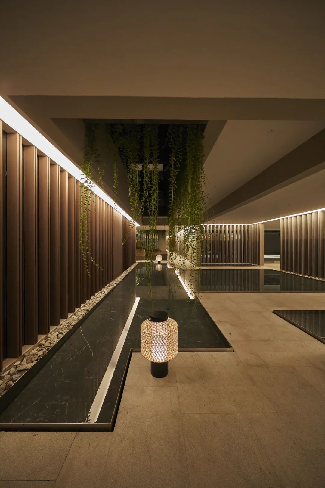 1681714348658816.jpg 1681714348658816.jpg